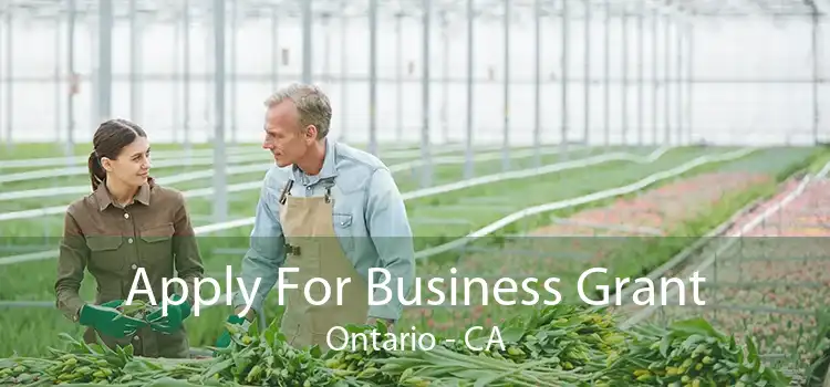 Apply For Business Grant Ontario - CA